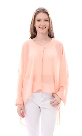 O165918 Simon Long Sleeves Slip On Sheer Blouse